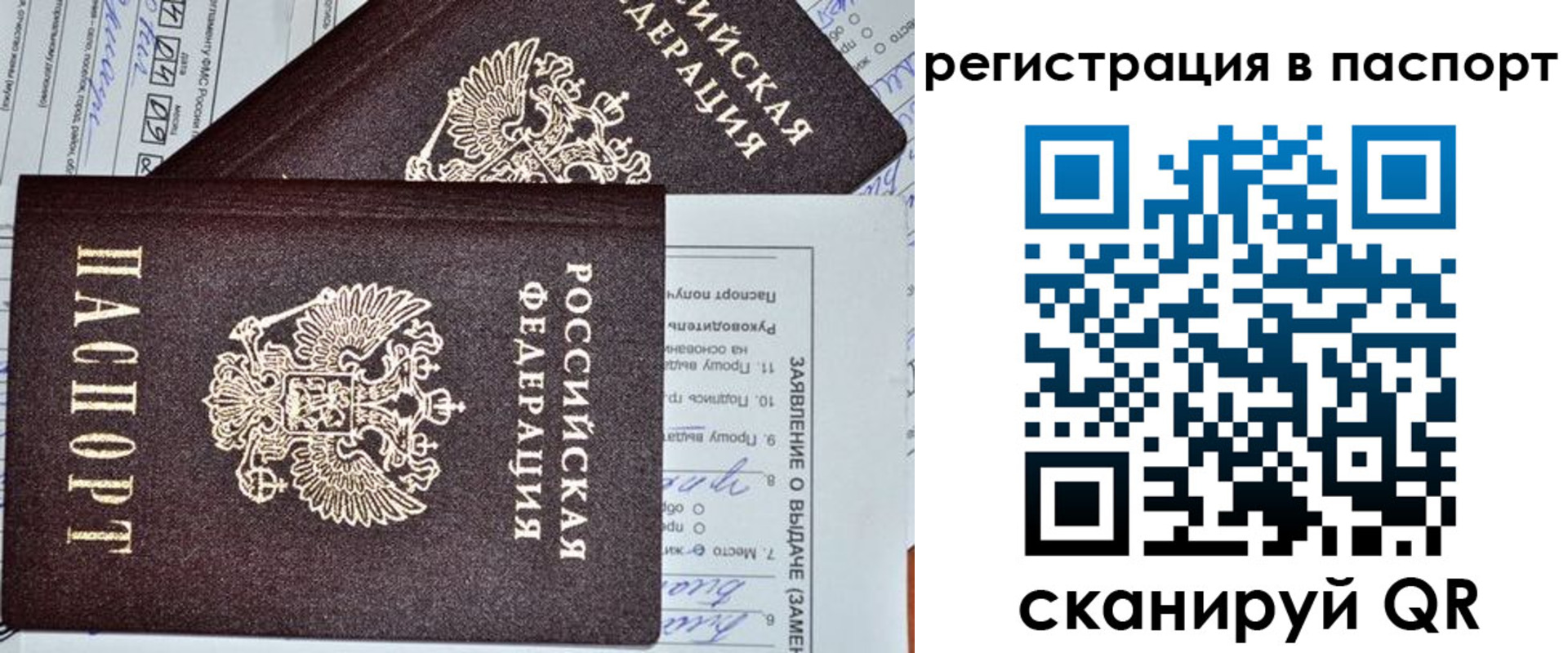 прописка законно в Невеле